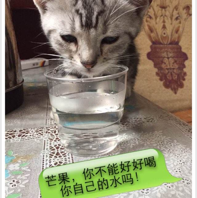 湖南省普通高级中学毕业证图片